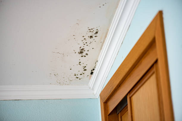 Water Damage Restoration in Waterloo, IL