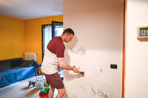Best Attic Mold Removal  in Waterloo, IL